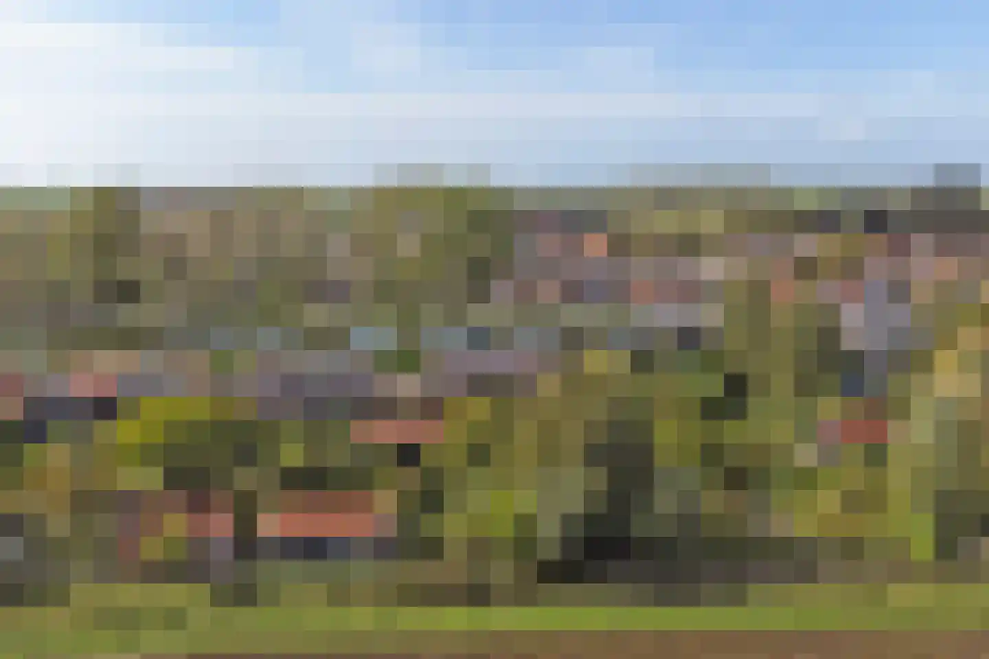 Oosthavendijk 79 Wilhelminadorp thumbnail 52