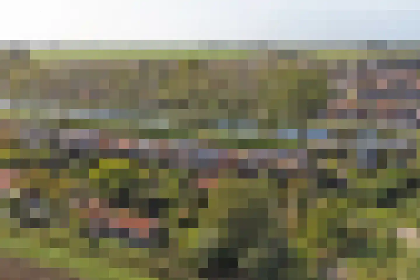 Oosthavendijk 79 Wilhelminadorp thumbnail 53