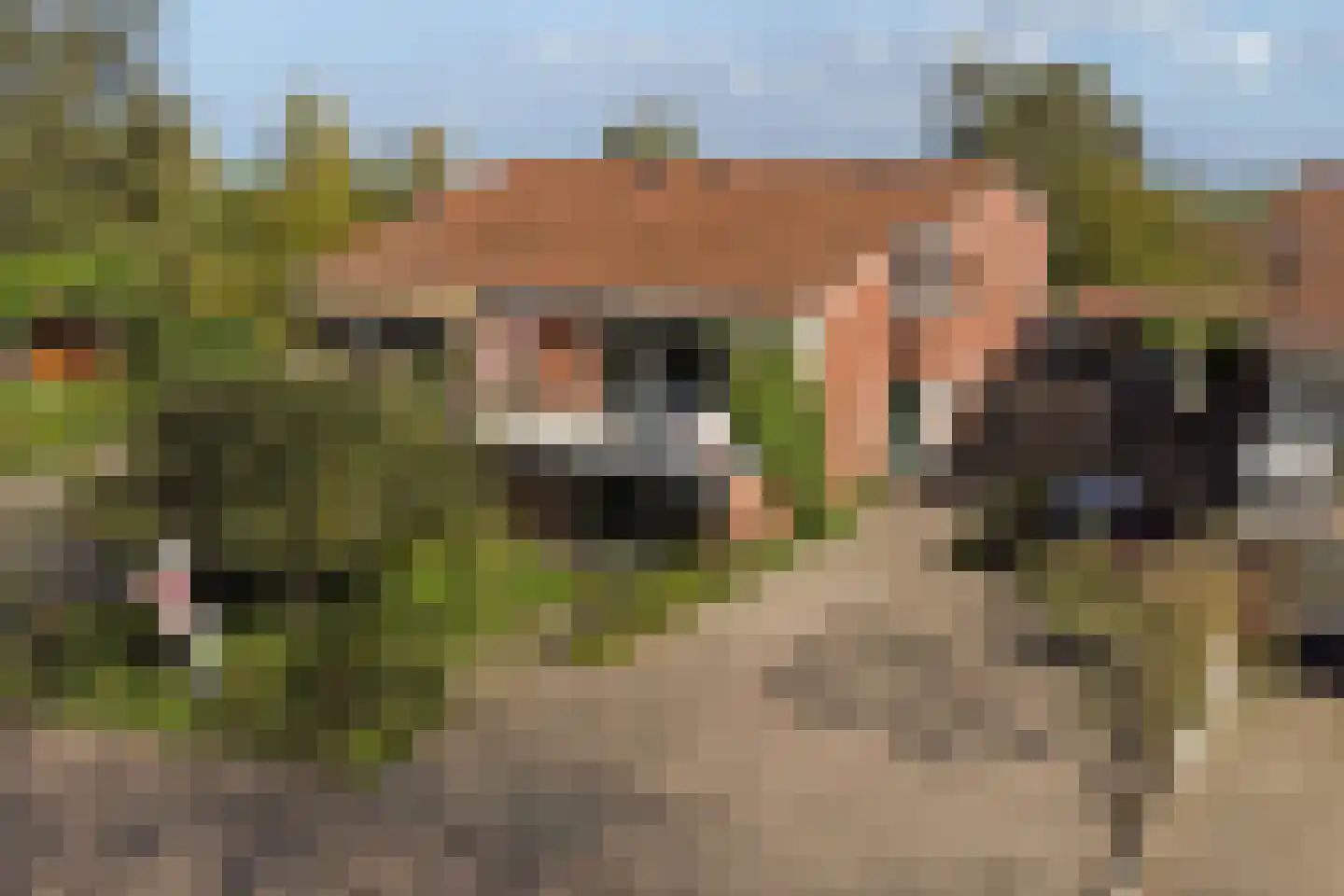 Oosthavendijk 79 Wilhelminadorp thumbnail 55