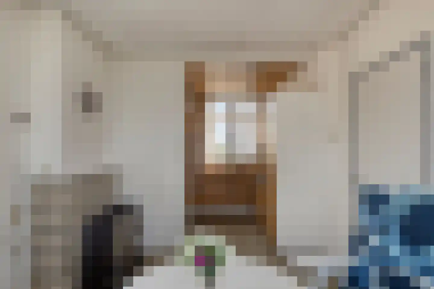 Oosthavendijk 8 Kamperland thumbnail 8