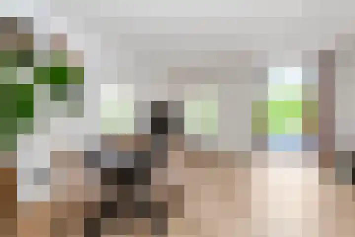 Oosthavenkade 27 B Vlaardingen thumbnail 19