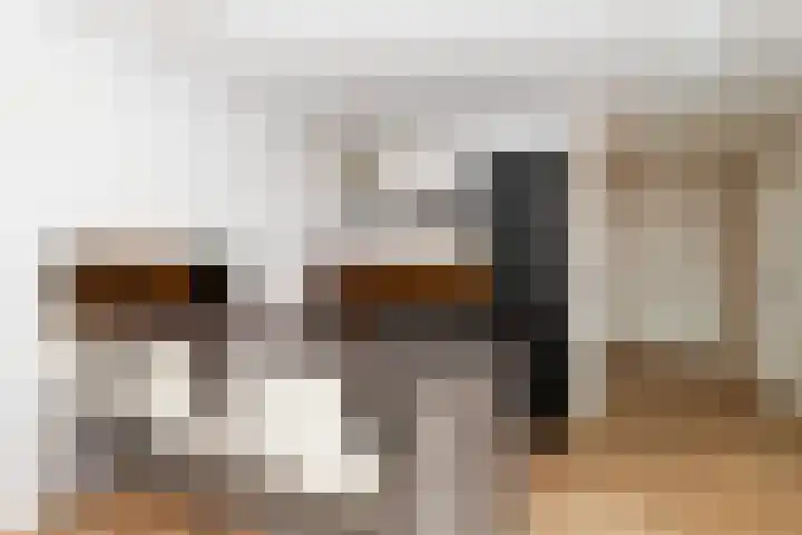 Oosthavenkade 27 B Vlaardingen thumbnail 23
