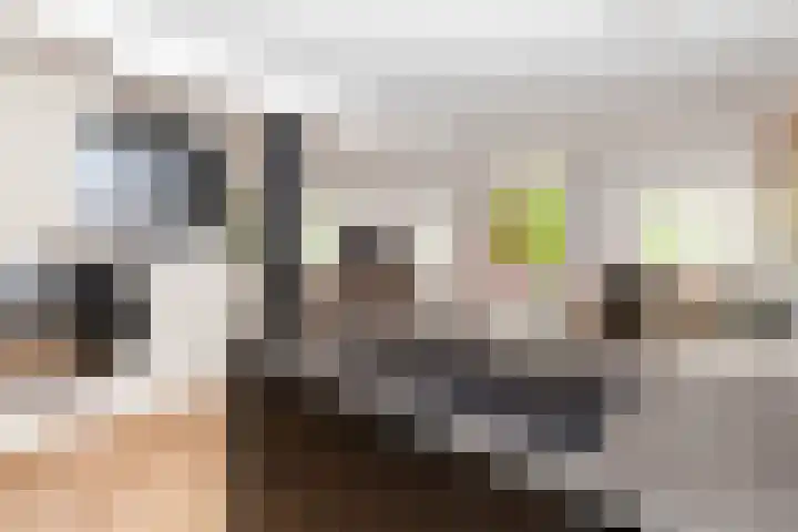 Oosthavenkade 27 B Vlaardingen thumbnail 25