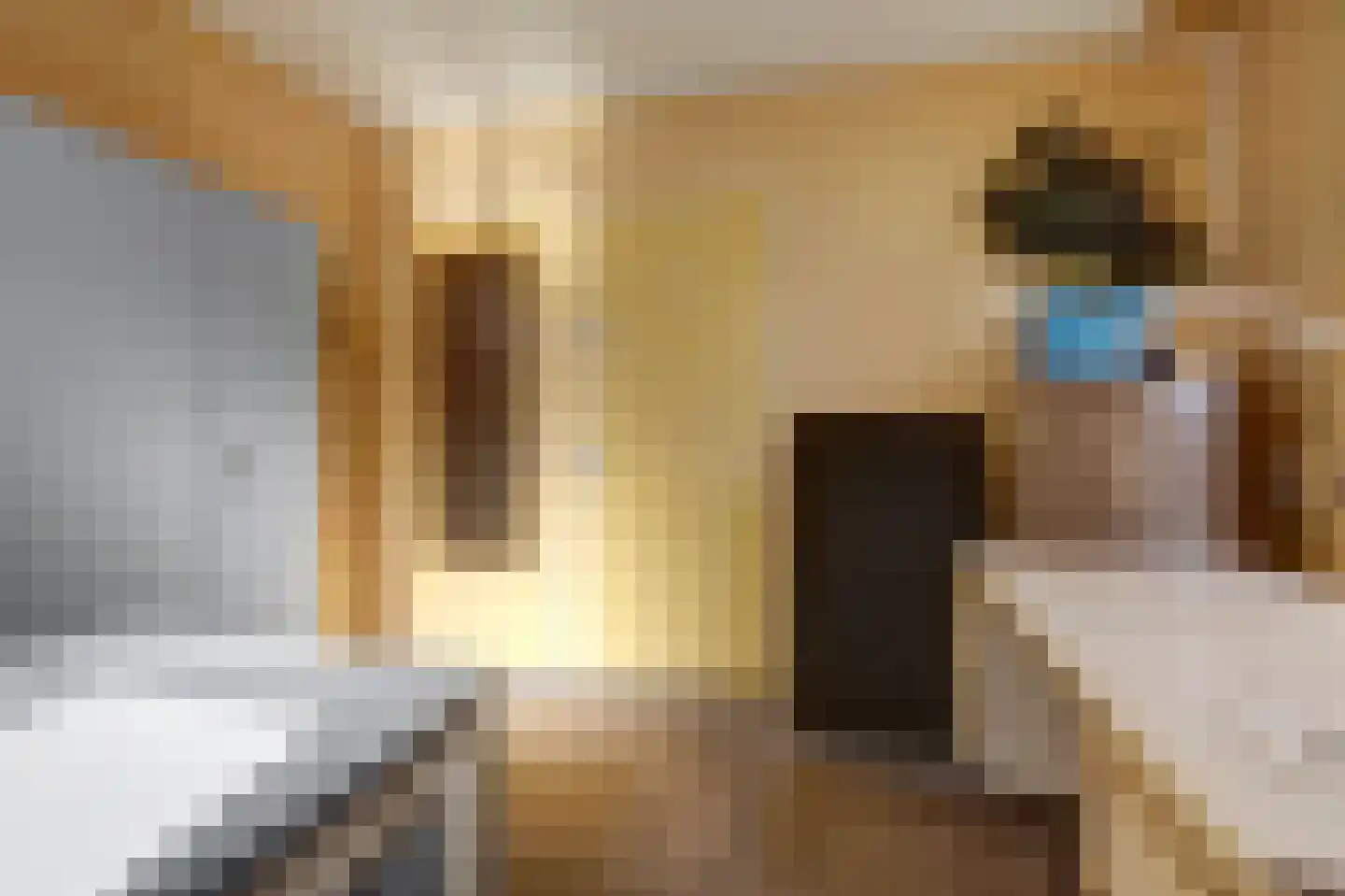 Oosthavenkade 30 Vlaardingen thumbnail 32