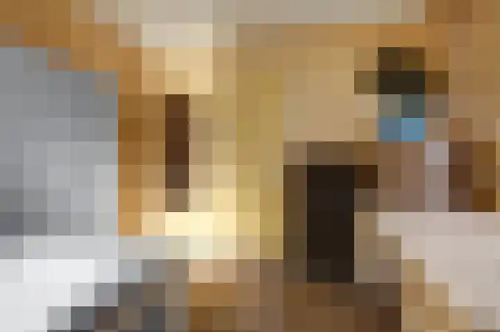 Oosthavenkade 30 Vlaardingen thumbnail 32