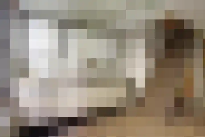 Oosthavenkade 30 Vlaardingen thumbnail 34