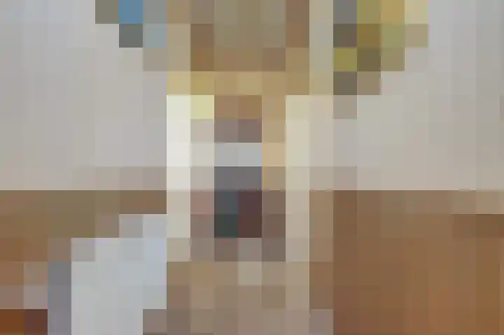 Oosthavenkade 30 Vlaardingen thumbnail 7