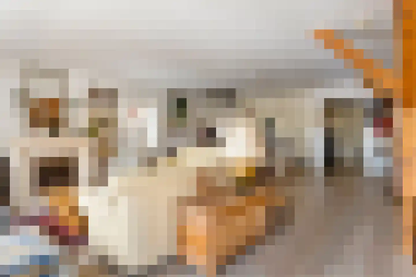 Oosthavenkade 53 B Vlaardingen thumbnail 19