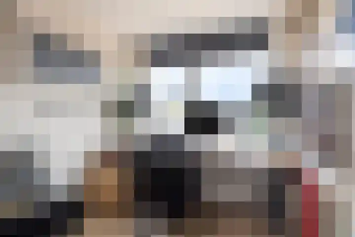 Oosthavenplaats 11 Vlaardingen thumbnail 14