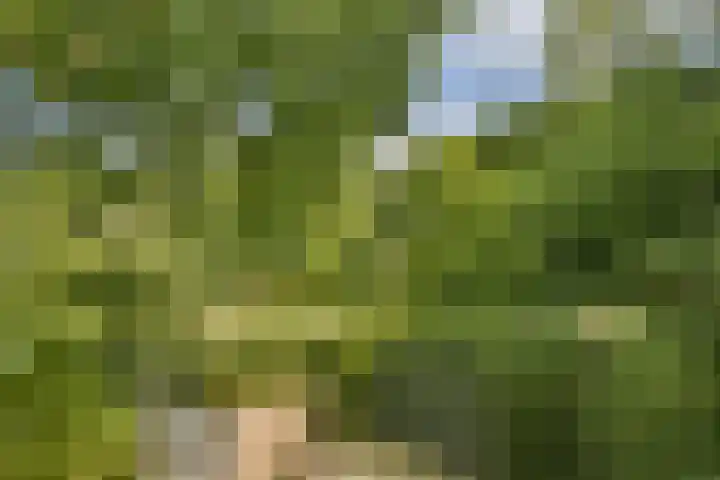 Oosthavenplaats 19 Vlaardingen thumbnail 22