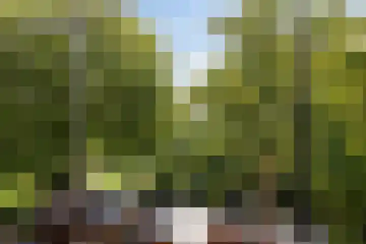 Oosthavenplaats 26 Vlaardingen thumbnail 18