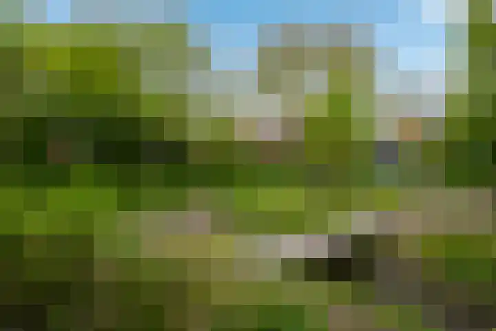 Oosthavenplaats 26 Vlaardingen thumbnail 29