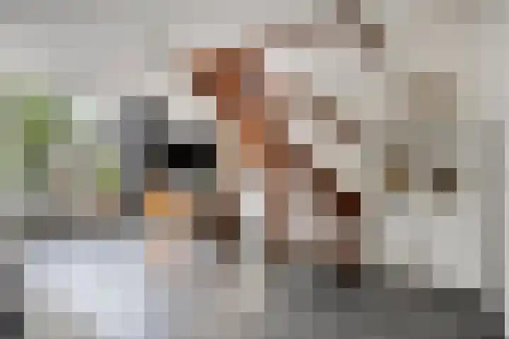 Oosthavenplaats 26 Vlaardingen thumbnail 7