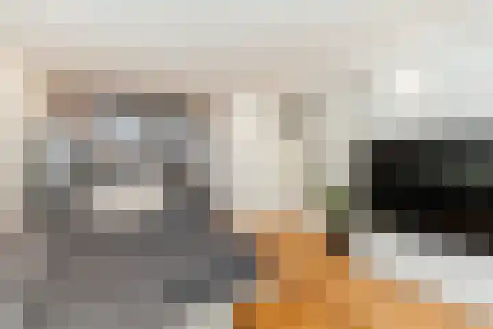 Oosthavenplaats 32 Vlaardingen thumbnail 11