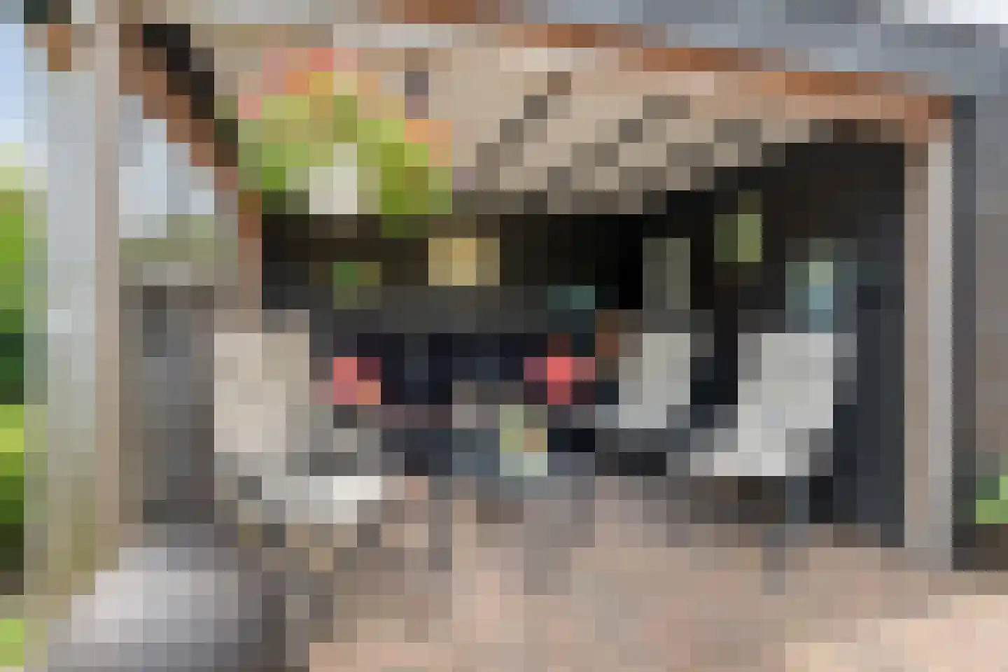 Oosthof 2 Hardenberg thumbnail 40