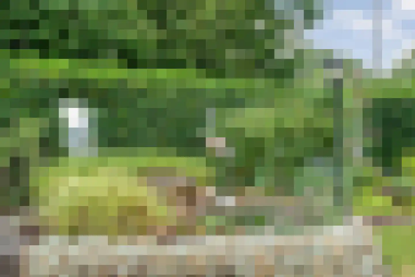 Oosthof 2 Hardenberg thumbnail 42