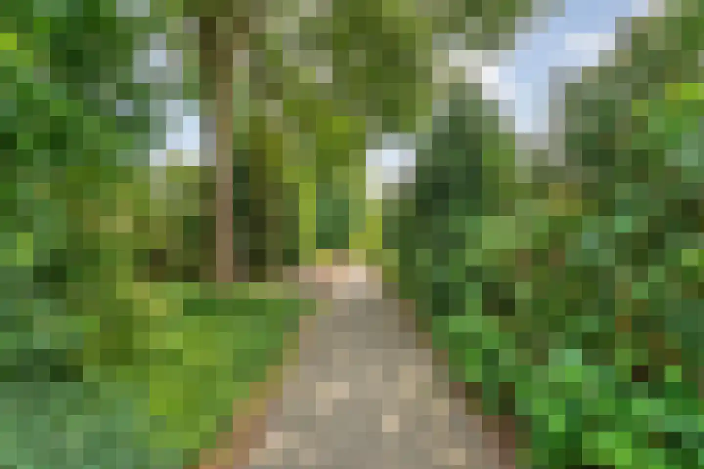 Oosthof 2 Hardenberg thumbnail 45