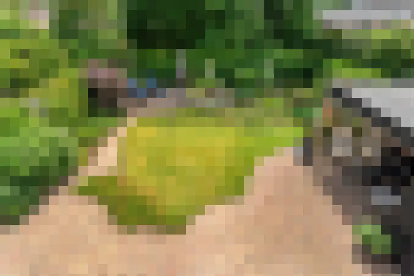 Oosthof 2 Hardenberg thumbnail 46