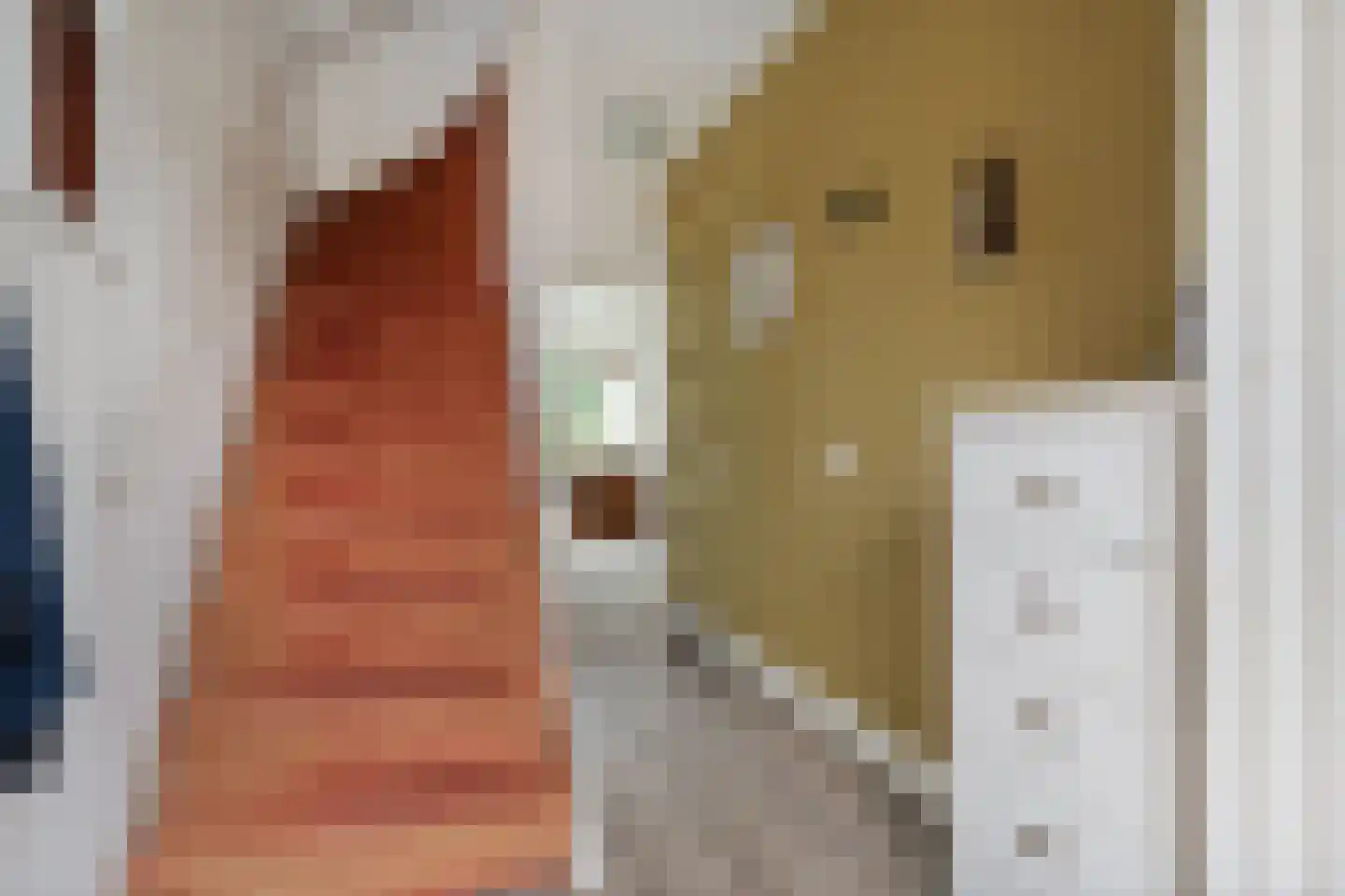 Oosthof 2 Hardenberg thumbnail 5