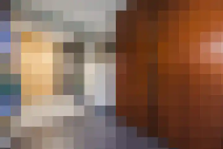 Oosthof 5 a Kloosterzande thumbnail 19