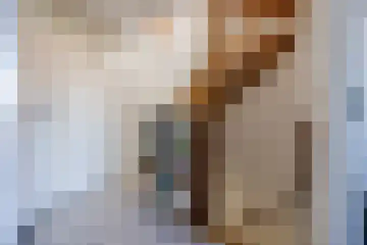 Oosthof 5 a Kloosterzande thumbnail 20