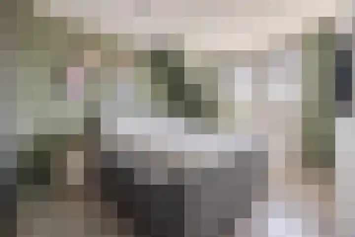 Oosthof 5 a Kloosterzande thumbnail 21