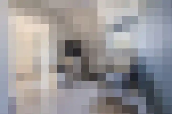 Oosthof 5 a Kloosterzande thumbnail 27
