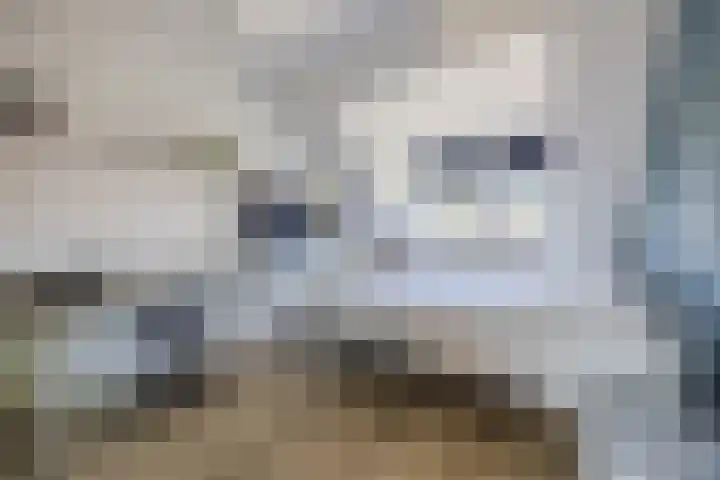 Oosthof 5 a Kloosterzande thumbnail 28
