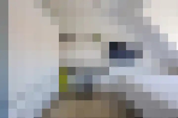 Oosthof 5 a Kloosterzande thumbnail 29