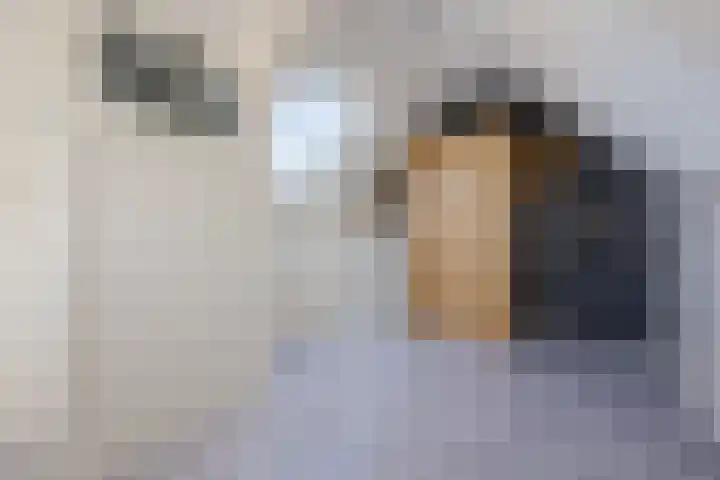 Oosthof 5 a Kloosterzande thumbnail 34