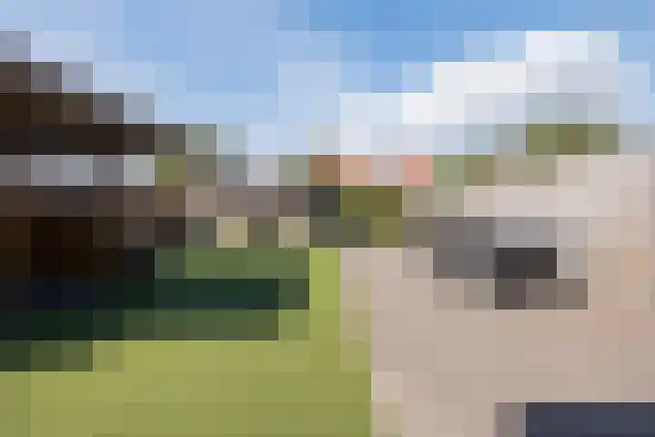 Oosthof 5 a Kloosterzande thumbnail 38