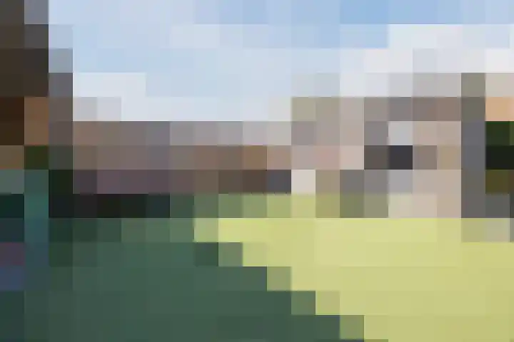 Oosthof 5 a Kloosterzande thumbnail 39
