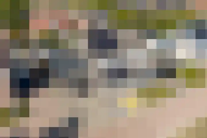 Oosthof 5 a Kloosterzande thumbnail 4