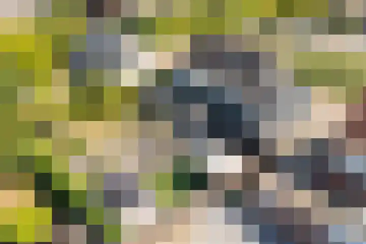 Oosthof 5 a Kloosterzande thumbnail 42