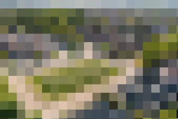 Oosthof 5 a Kloosterzande thumbnail 43
