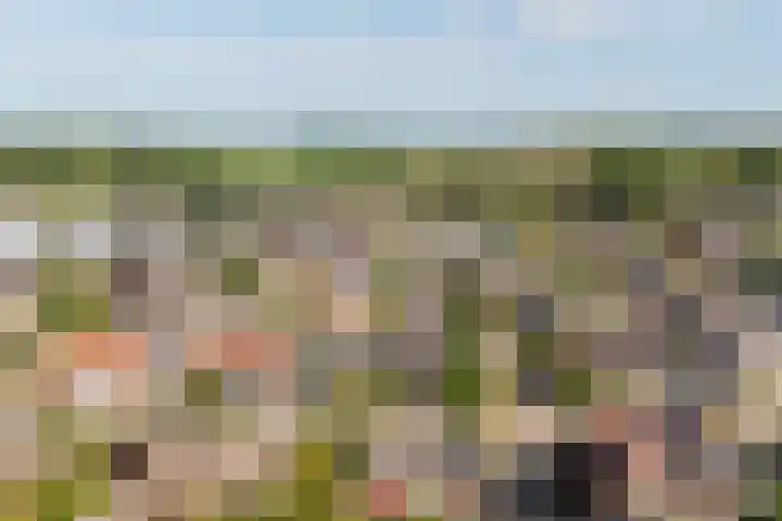 Oosthof 5 a Kloosterzande thumbnail 44
