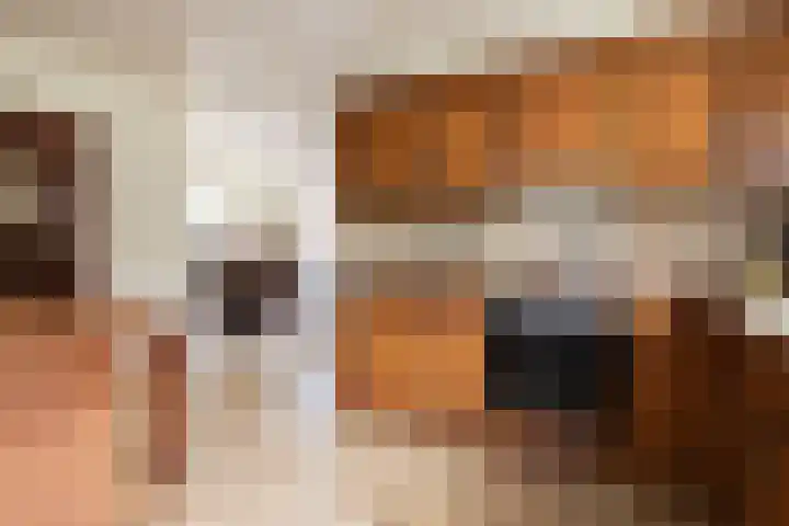 Oosthof 5 Scherpenzeel thumbnail 18