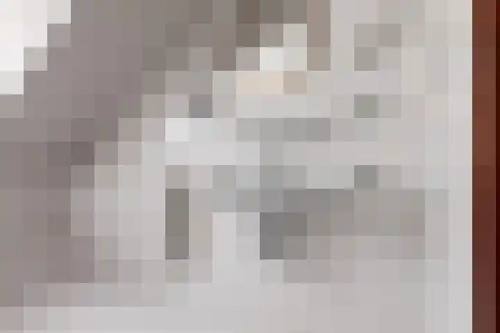 Oosthof 5 Scherpenzeel thumbnail 31