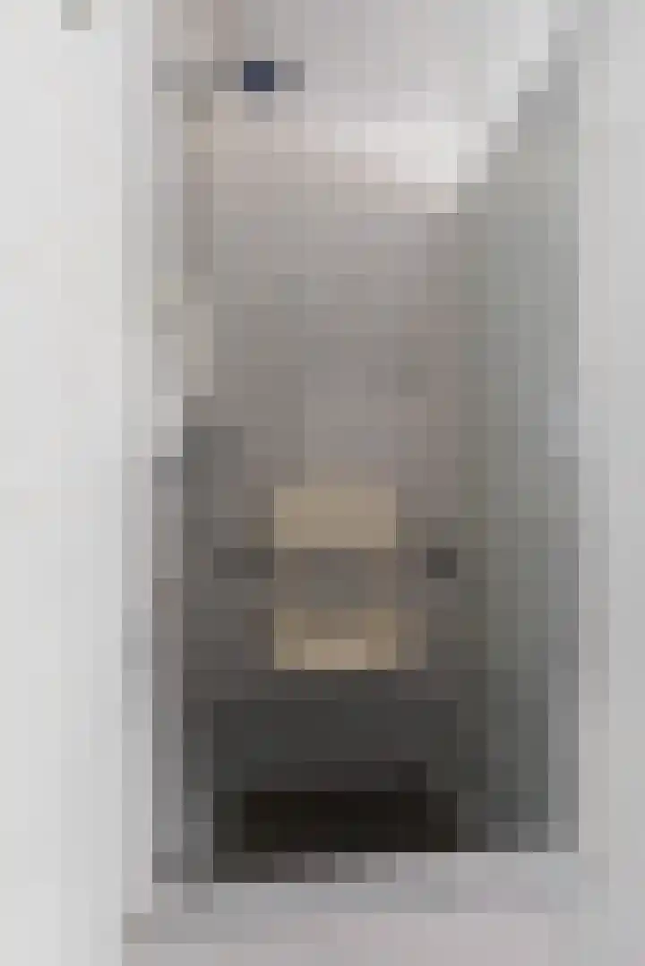 Oosthof 5 Scherpenzeel thumbnail 33