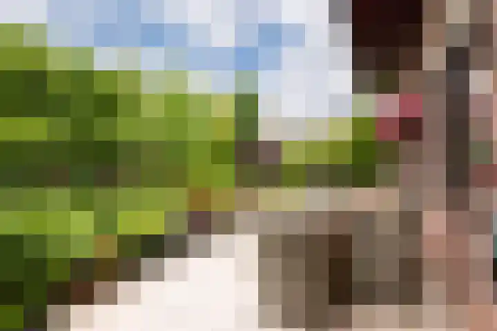 Oosthof 5 Scherpenzeel thumbnail 36