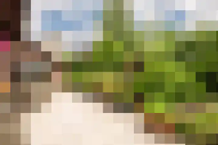 Oosthof 5 Scherpenzeel thumbnail 37