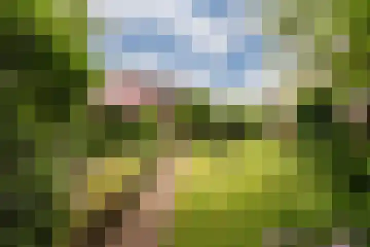 Oosthof 5 Scherpenzeel thumbnail 4