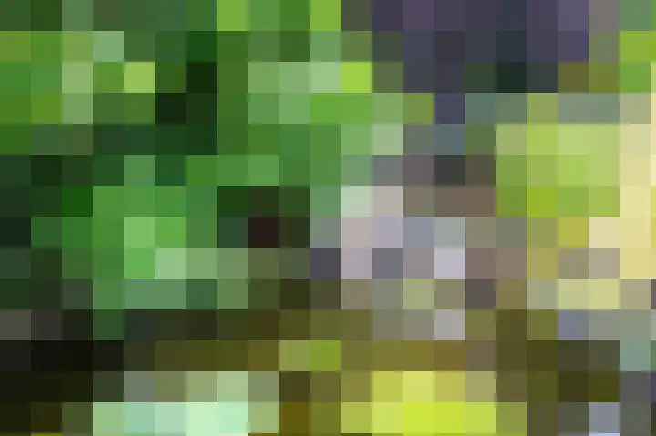 Oosthof 5 Scherpenzeel thumbnail 41