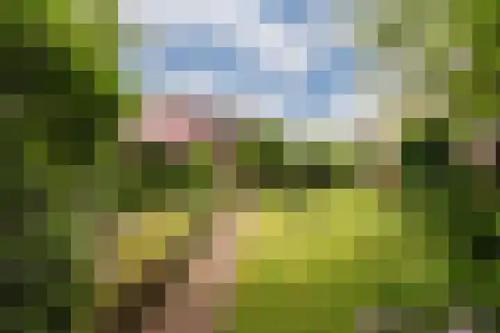 Oosthof 5 Scherpenzeel thumbnail 42