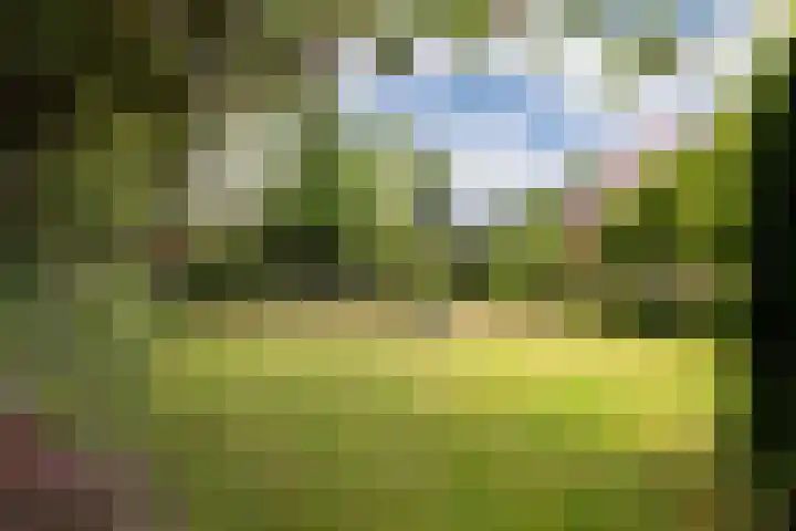 Oosthof 5 Scherpenzeel thumbnail 43