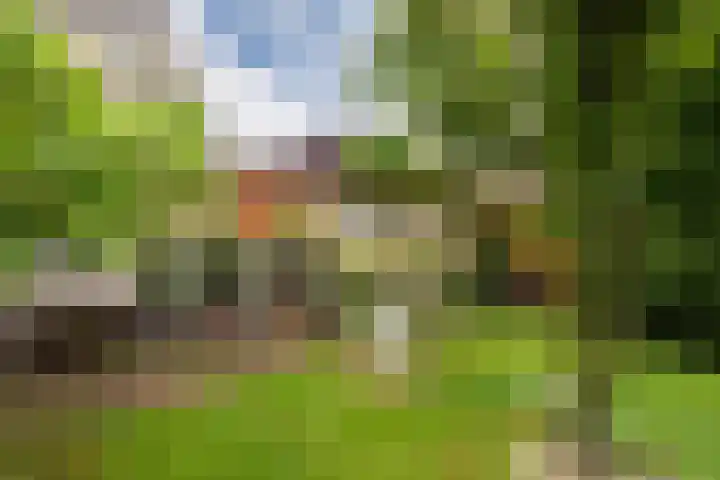Oosthof 5 Scherpenzeel thumbnail 44