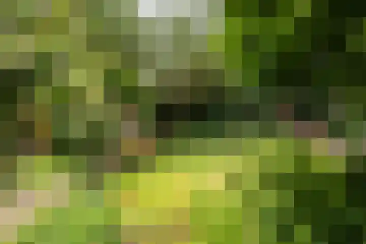 Oosthof 5 Scherpenzeel thumbnail 45