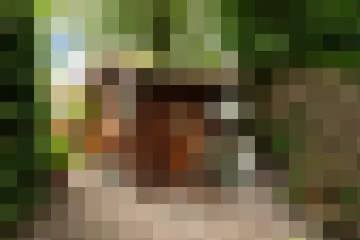 Oosthof 5 Scherpenzeel thumbnail 46