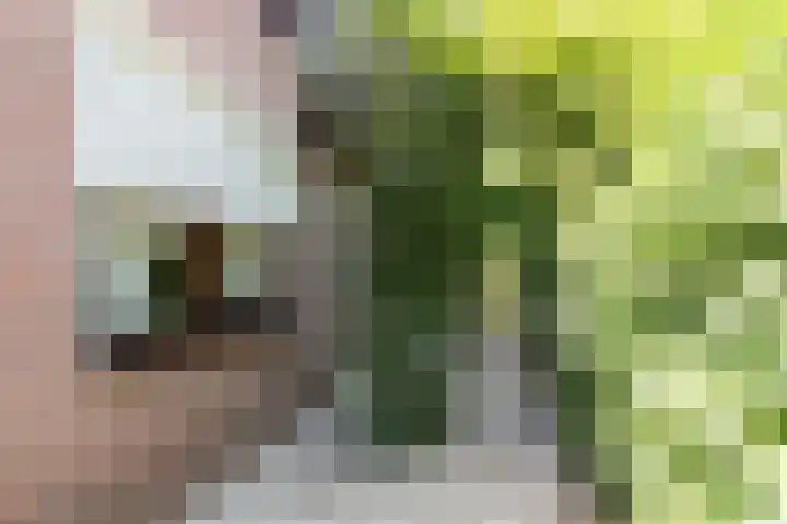 Oosthof 5 Scherpenzeel thumbnail 47