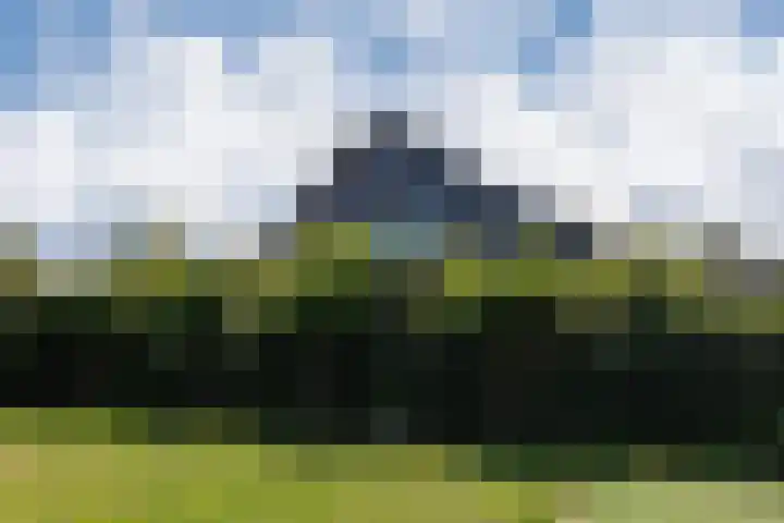 Oosthof 5 Scherpenzeel thumbnail 48